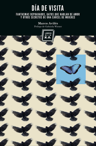 Día de visita-Marco Avilés